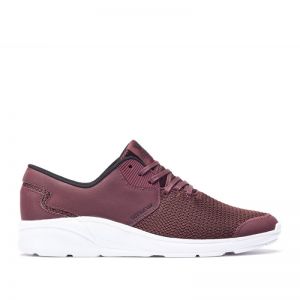 Маратонки Supra Noiz burgundy
