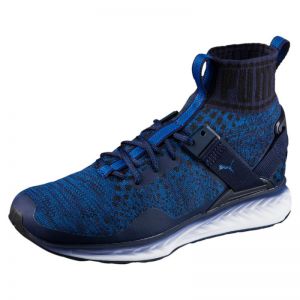 Маратонки Puma Ignite EvoKnit Fade